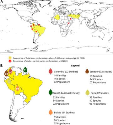 The Potential of Traditional Knowledge to Develop Effective Medicines for the Treatment of Leishmaniasis